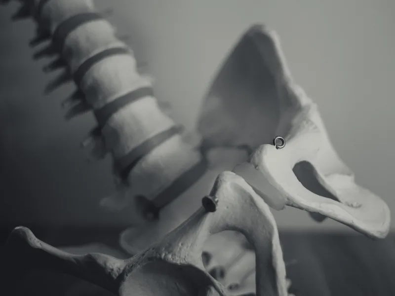X-Rays at Top Spine Chiropractic in Worcester